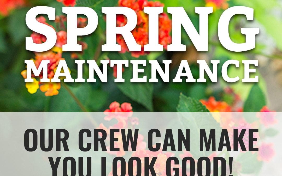 Social Media Posts for Earthcraft Landscaping