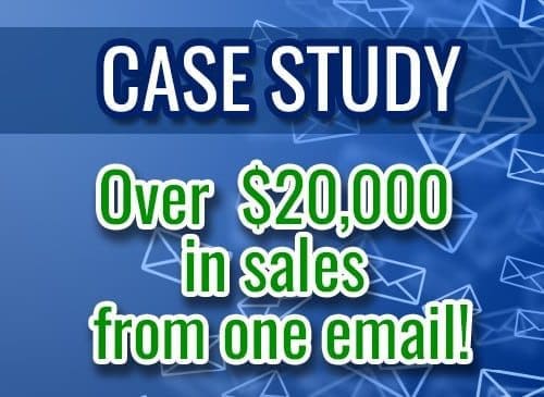 OVER $20,000 IN SALES FROM ONE EMAIL!