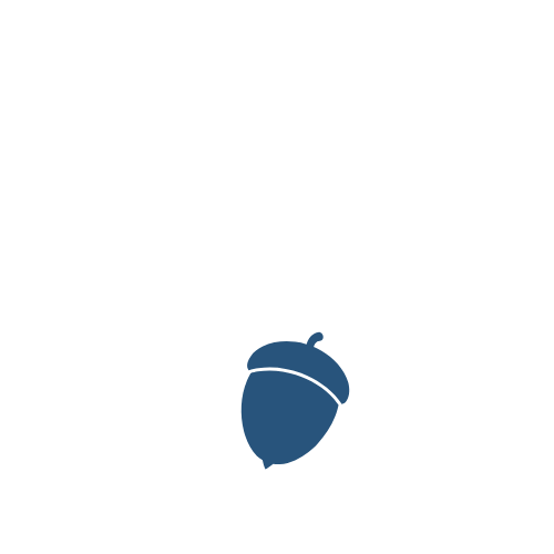 acorn icon to represent the foundation website package